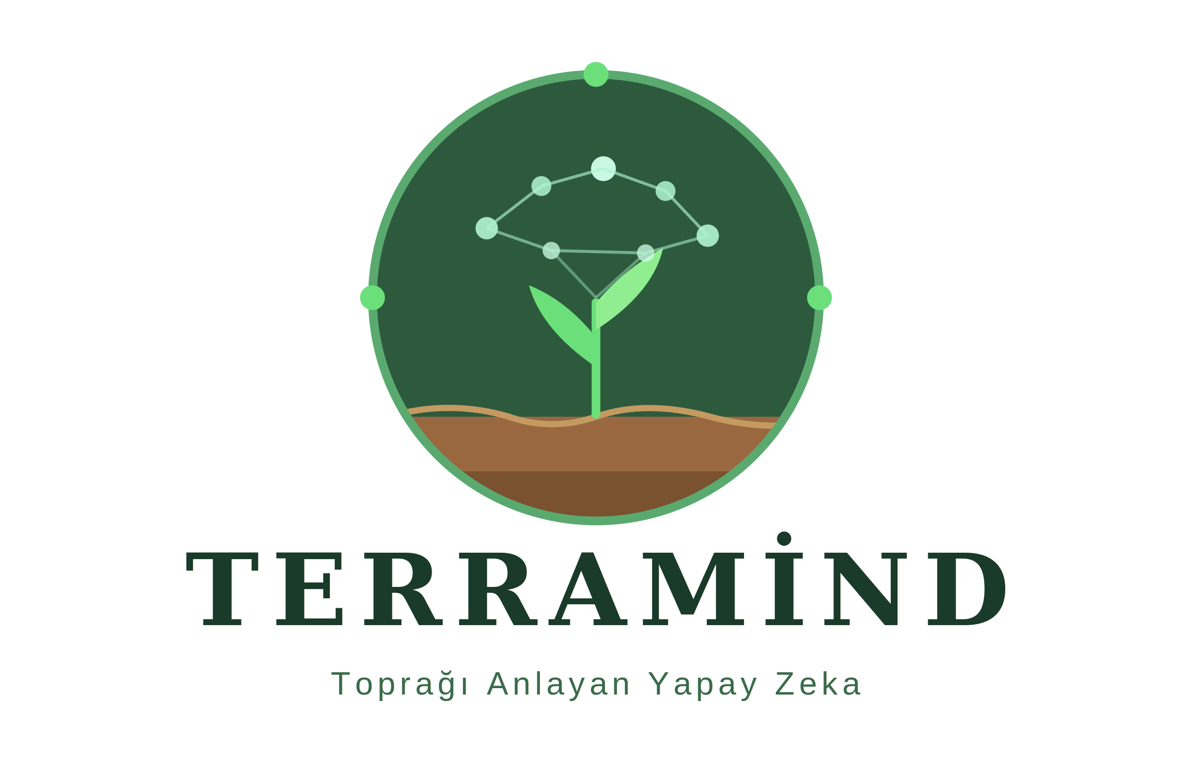 Terramind logo